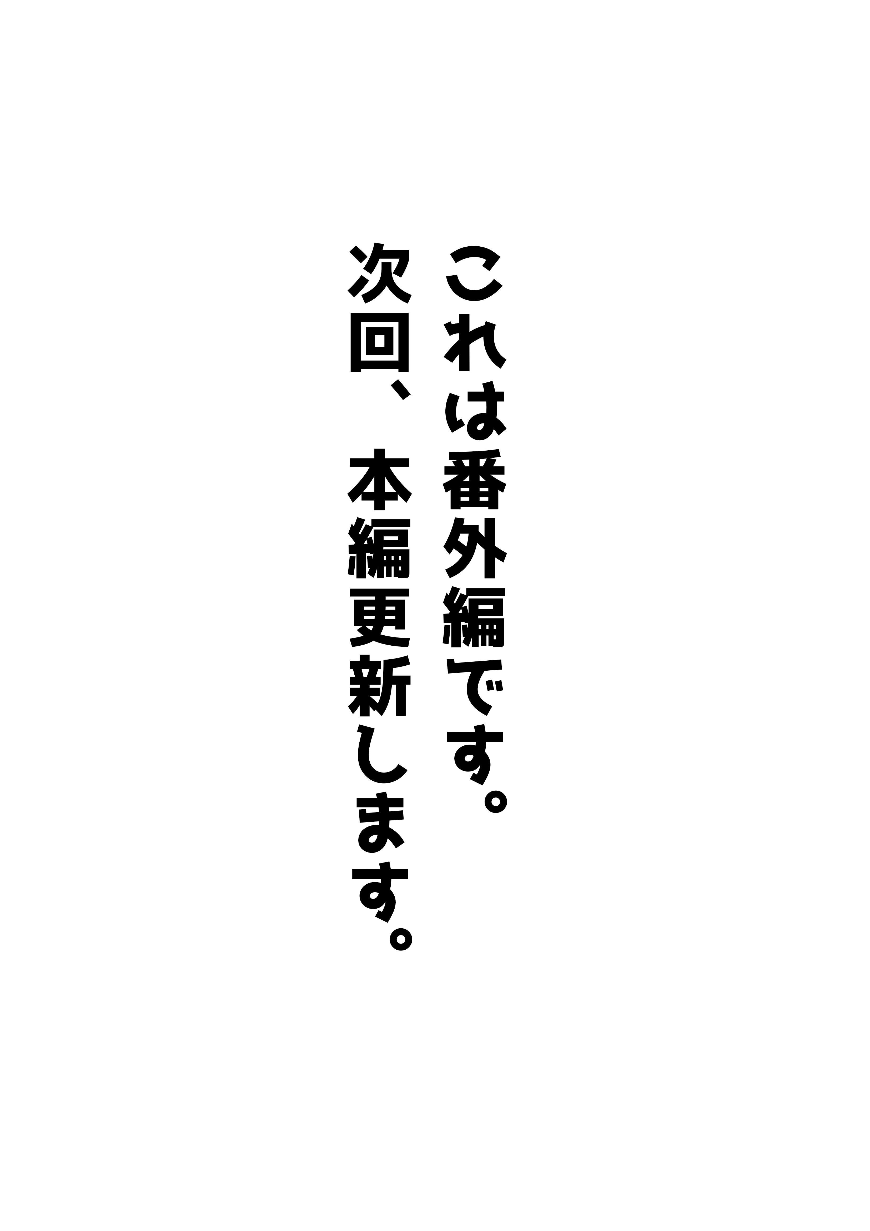 写真12